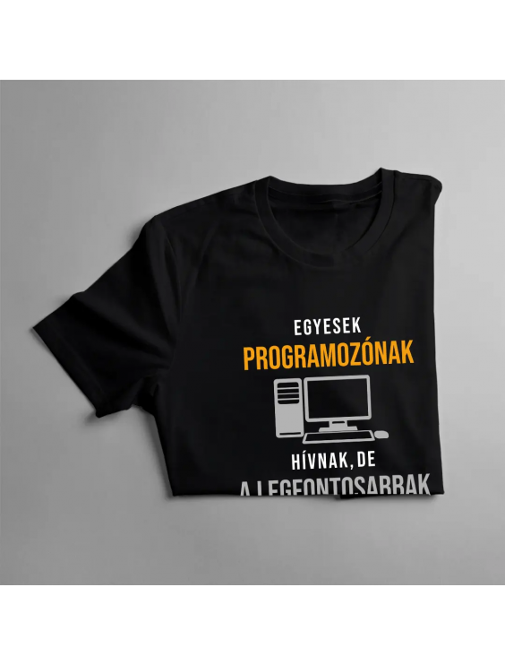 Egyesek programozónak hívnak, de a legfontosabbak apának