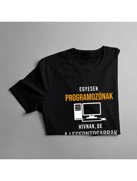 Egyesek programozónak hívnak, de a legfontosabbak anyának