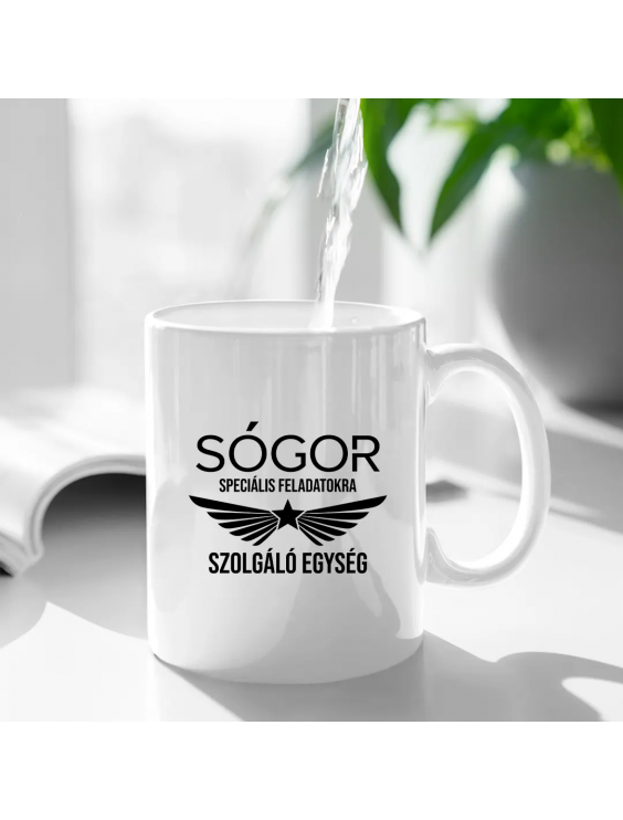Sógor - speciális feladatokra szolgáló egység
