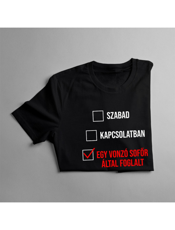 Szabad / kapcsolatban / egy vonzó sofőr által foglalt